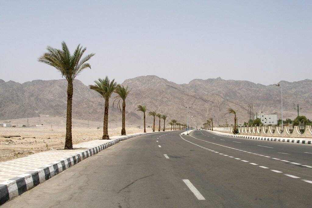 An empty dual carriageway curving through the Sinai or Red Sea mountains, young palms in the central reservation and bare rock ridges behind