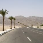 An empty dual carriageway curving through the Sinai or Red Sea mountains, young palms in the central reservation and bare rock ridges behind