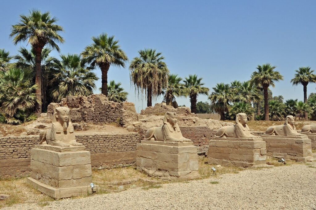 Avenida de las esfinges de Luxor con estatuas de piedra alineadas y palmeras bajo cielo azul, patrimonio iconico del antiguo Egipto