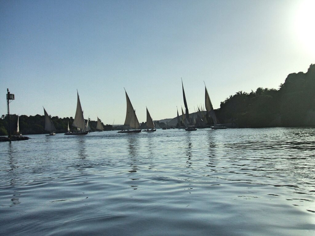 Flota de feluccas con velas blancas navegando por el Nilo en Asuan bajo un cielo azul, una escena relajada del rio en Egipto