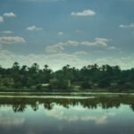 Lago salado turquesa en el oasis de Siwa, Egipto, con el reflejo de palmerales y casas de adobe bajo un cielo con nubes