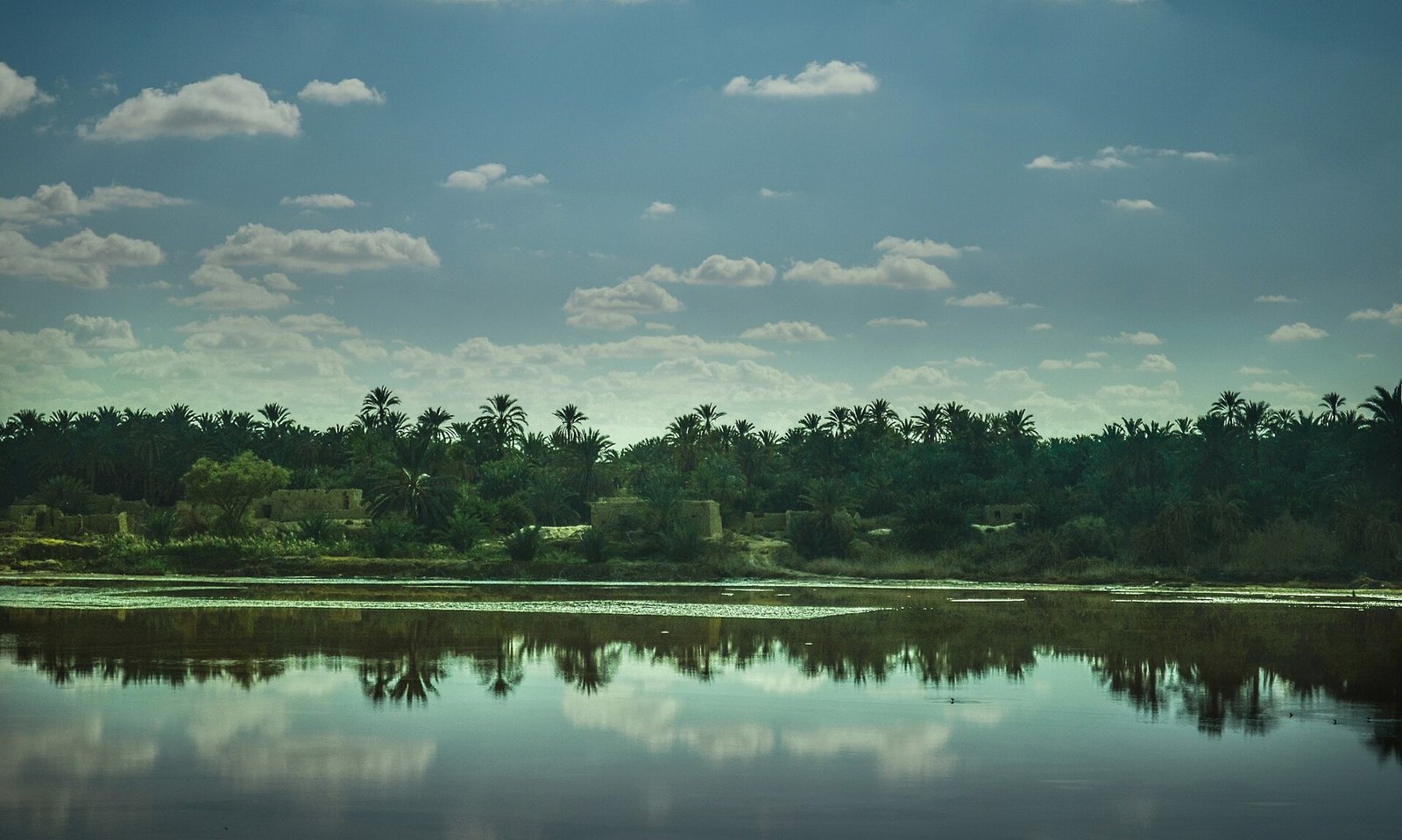 Lago salado turquesa en el oasis de Siwa, Egipto, con el reflejo de palmerales y casas de adobe bajo un cielo con nubes