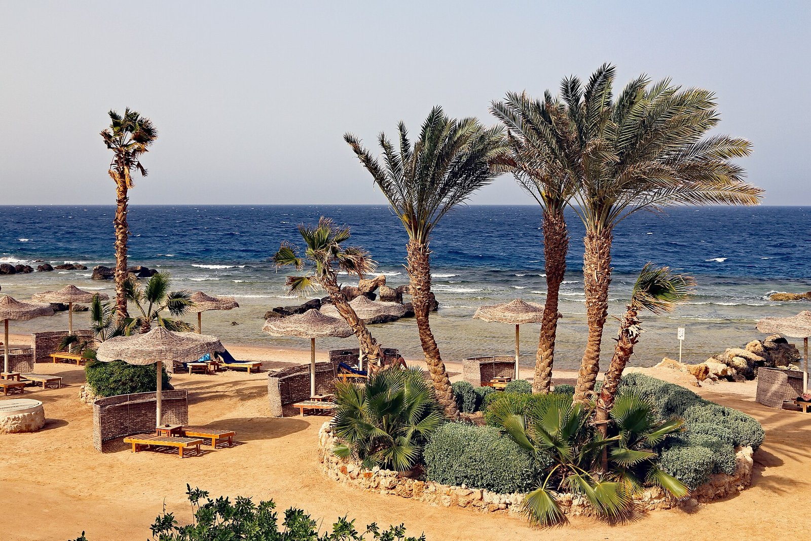 Resort frente al Mar Rojo en Egipto con palmeras altas, sombrillas de paja y mar azul intenso bajo un cielo soleado de verano