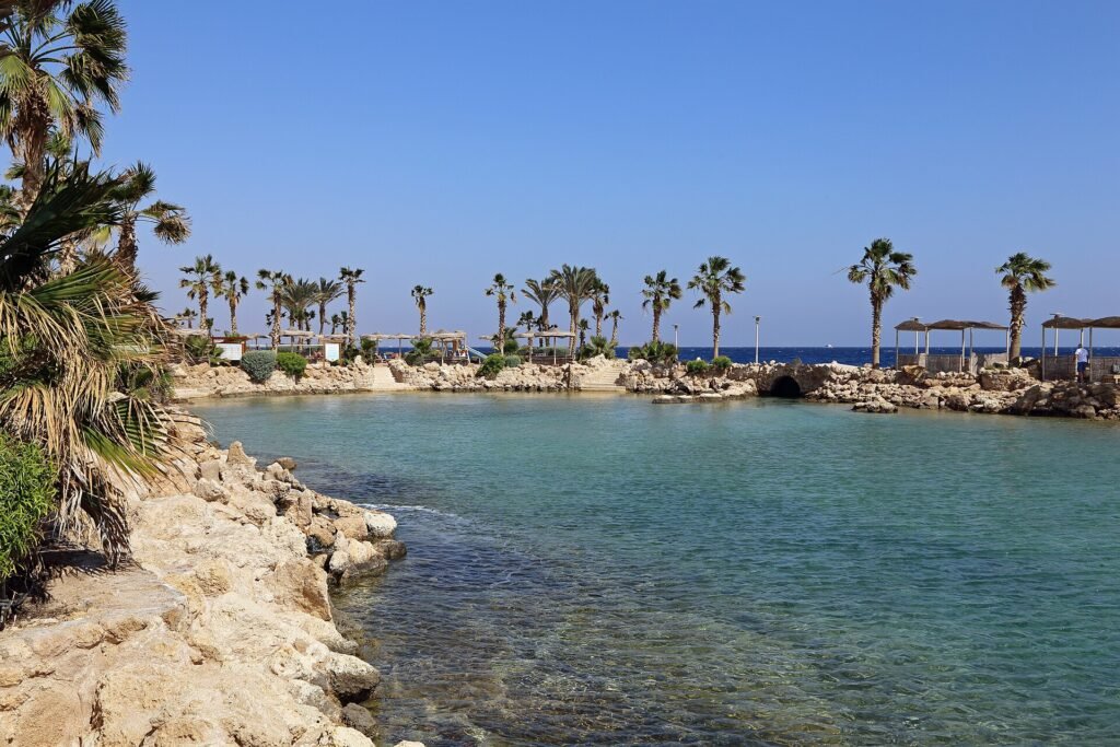 Cala de aguas turquesas y cristalinas del Mar Rojo en Egipto, bordeada de rocas doradas, palmeras y sombrillas de paja bajo un cielo azul intenso