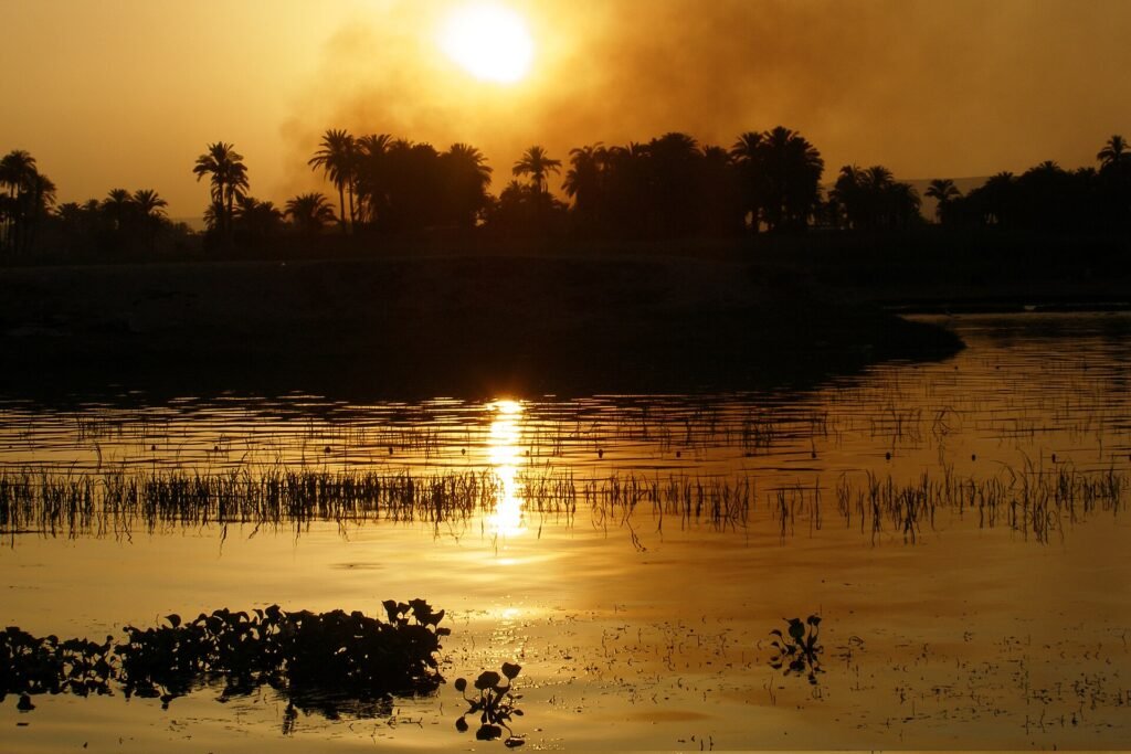 The Nile at sunset, date palms silhouetted on the far bank and reeds and water hyacinth in the shallows