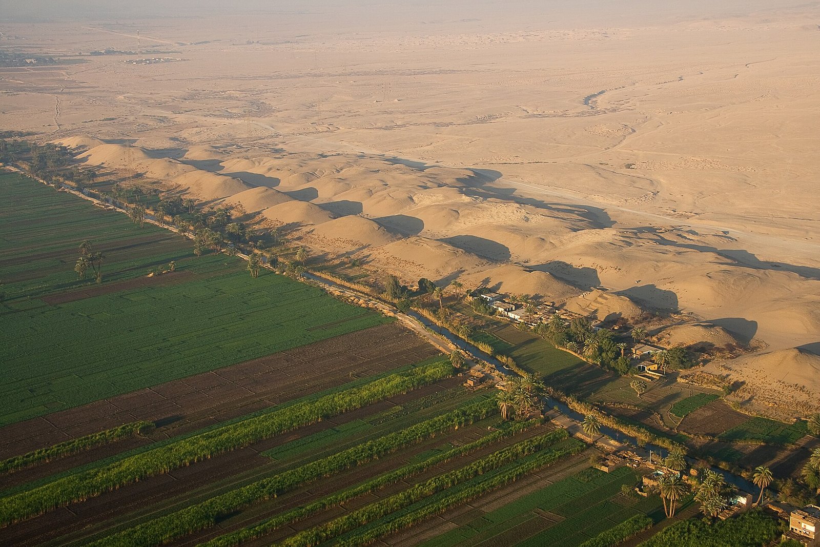 Vista aerea del valle del Nilo con campos verdes de cultivo junto a dunas doradas del desierto y un canal de riego bordeado de palmeras