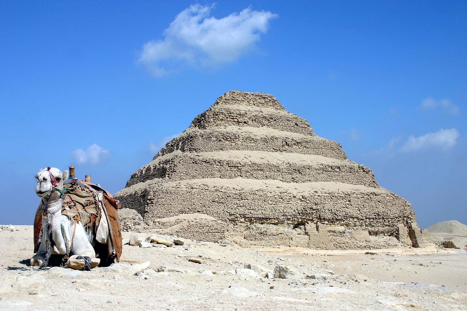 La Piramide Escalonada de Zoser en Saqqara, Egipto, con un camello descansando sobre la arena dorada del desierto bajo un cielo azul intenso, imagen iconica y limpia