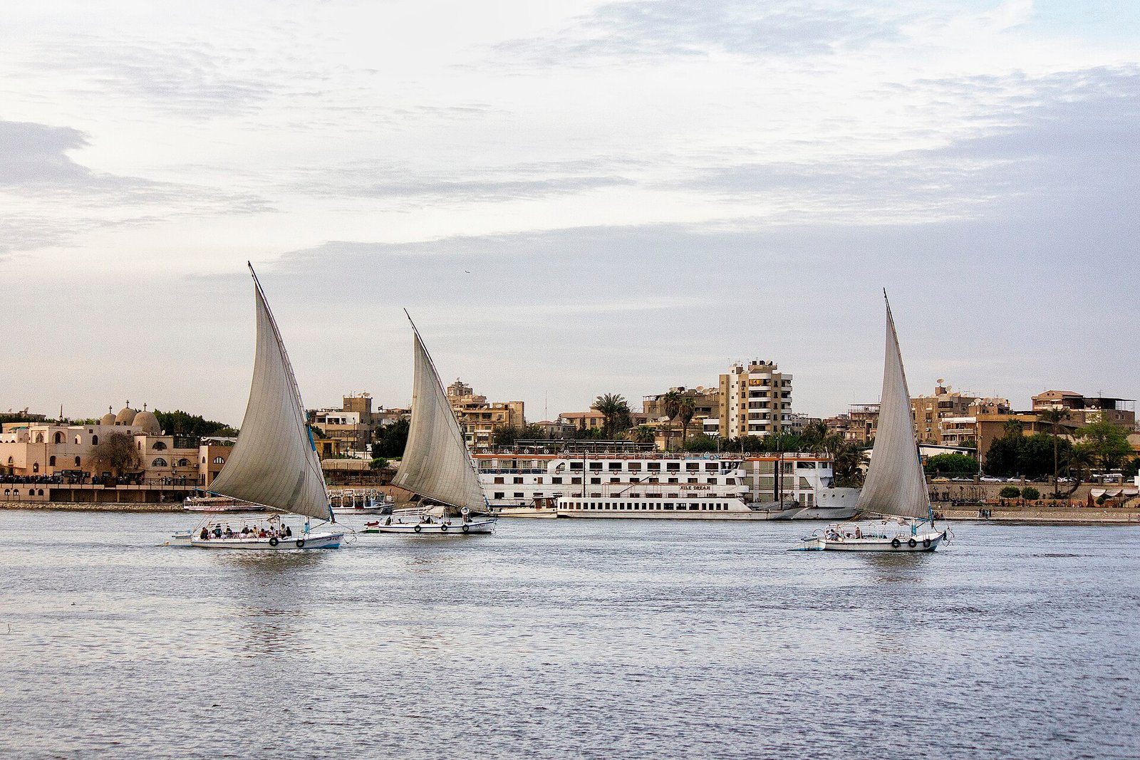 Tres falucas de vela blanca navegando el Nilo al atardecer junto a un crucero fluvial y la ribera de la ciudad, con luz suave y agua tranquila