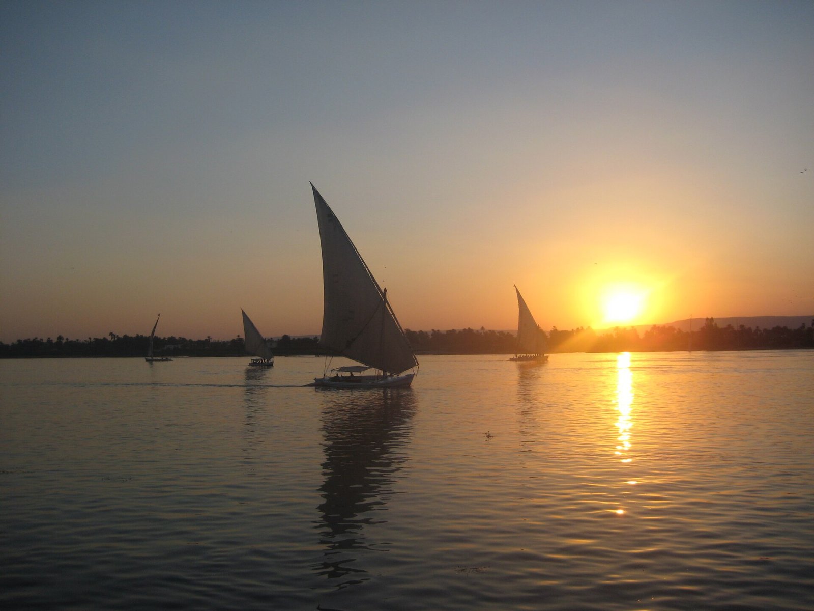 Veleros feluca navegando por el Nilo durante una puesta de sol dorada en Egipto