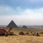 Three saddled camels resting on the desert ridge at Giza with the pyramid of Menkaure and a queen's pyramid behind under a hazy sky