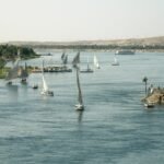 Numerosas feluccas con velas blancas navegando por el rio Nilo en Asuan bajo cielo claro, con dunas del desierto y un crucero al fondo