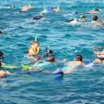 A large group of snorkellers in masks and fins floating together in clear turquoise Red Sea water, seen from a boat