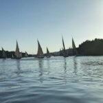A fleet of feluccas under sail on the Nile at Aswan in backlight, the sails pale against a rocky bank