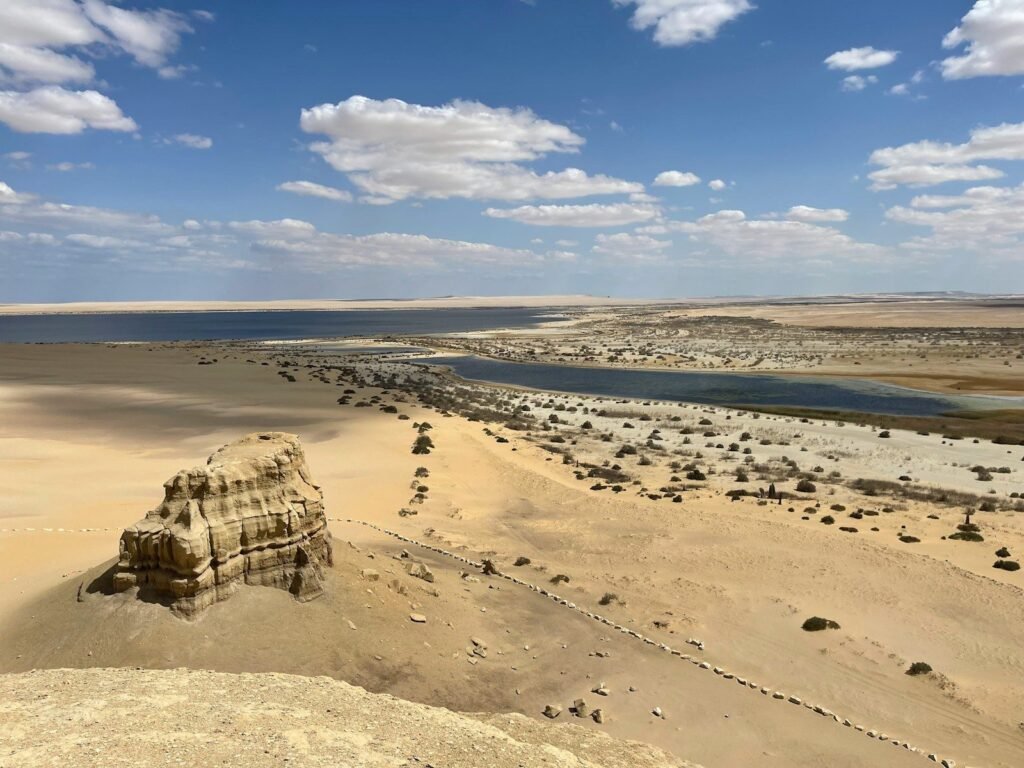 Un lago en el desierto de El Fayum visto desde lo alto de una duna, con rocas erosionadas y arbustos en la arena