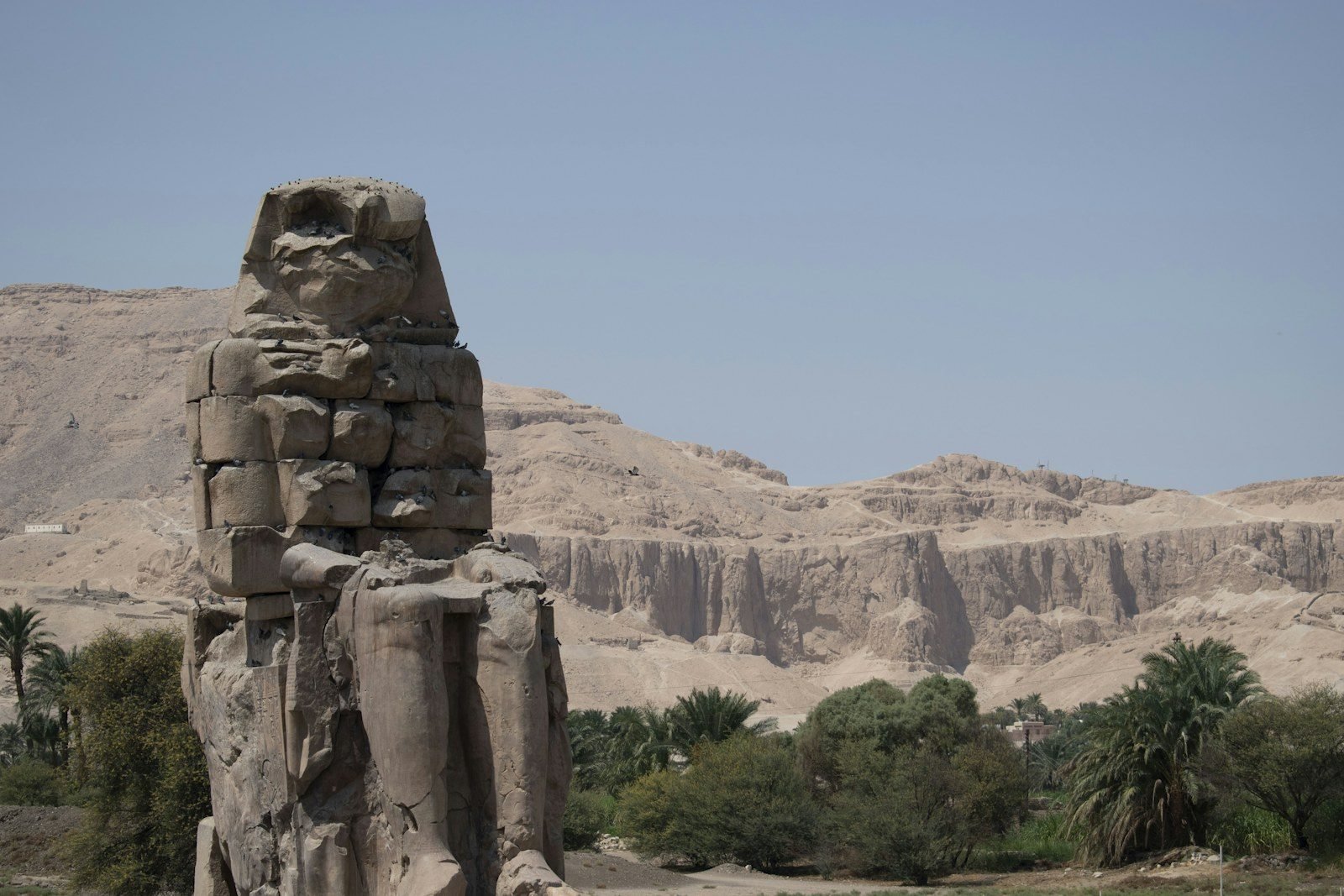 Uno de los colosos de Memnón, una estatua sentada de bloques de piedra erosionados, con palmeras y colinas del desierto detrás en un día de bruma.
