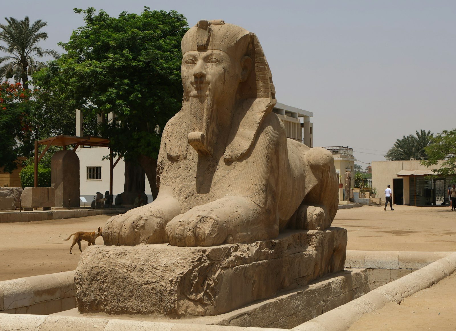 Una gran esfinge de piedra con tocado real, cobra y barba trenzada, agazapada sobre un pedestal rugoso en un patio abierto con árboles.