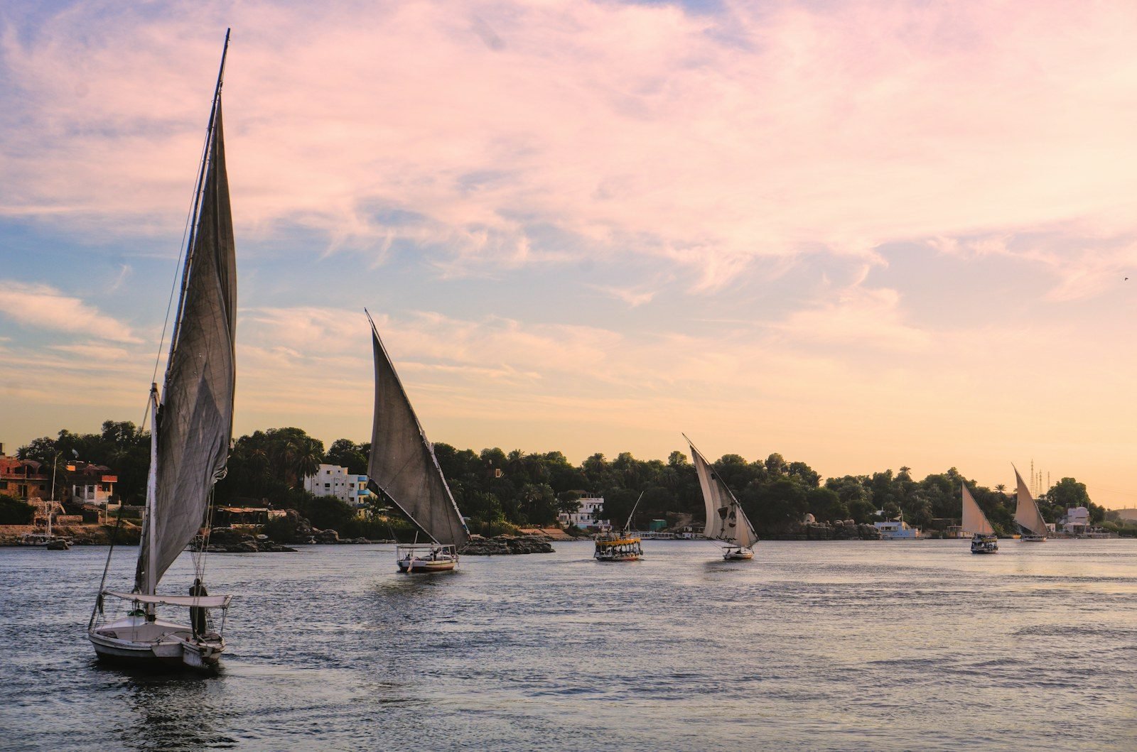 Several feluccas under sail and two small motor boats cross a wide stretch of the Nile at dusk, with a wooded bank behind and a soft pink sky.