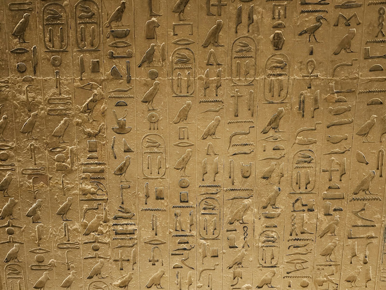 Superficie de piedra clara cubierta de jeroglíficos incisos en columnas, con numerosos cartuchos ovalados, aves y un signo ankh.