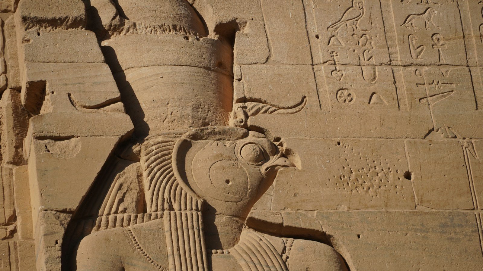 Primer plano de un relieve de un dios con cabeza de halcón y doble corona, junto a un panel de jeroglíficos, en un muro de arenisca iluminado por el sol.